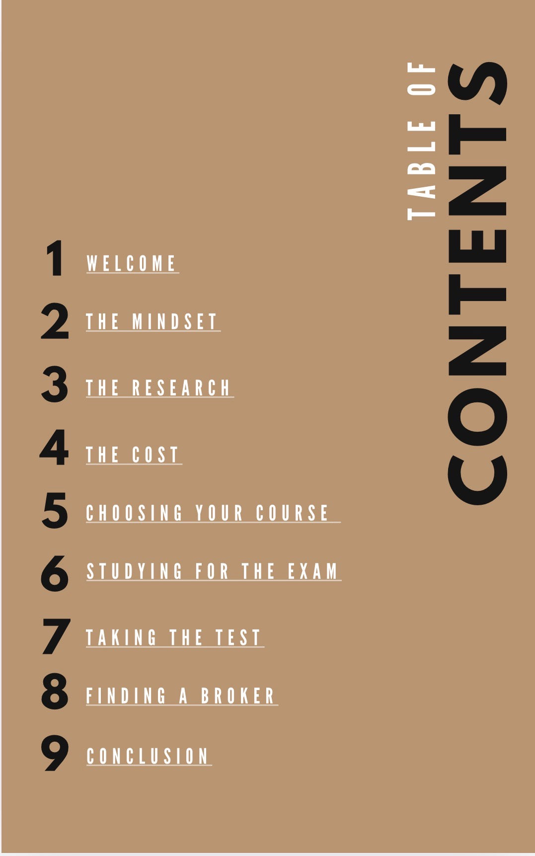 Real Estate Boss Ebook Guide To Success!